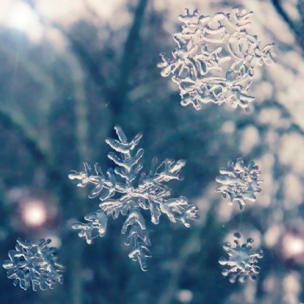 снежинки из клея ПВА для окна фото
