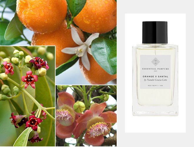 Золотое яблоко essential parfums. Orange x Santal Essential. Оранж Сантал Essential Parfums. Essential Parfum Orange Santal. Парфюм Orange x Santal Essential.