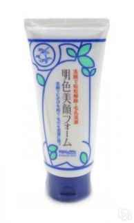 Пена для проблемной кожи лица с салициловой кислотой Meishoku Bigansui Acne
